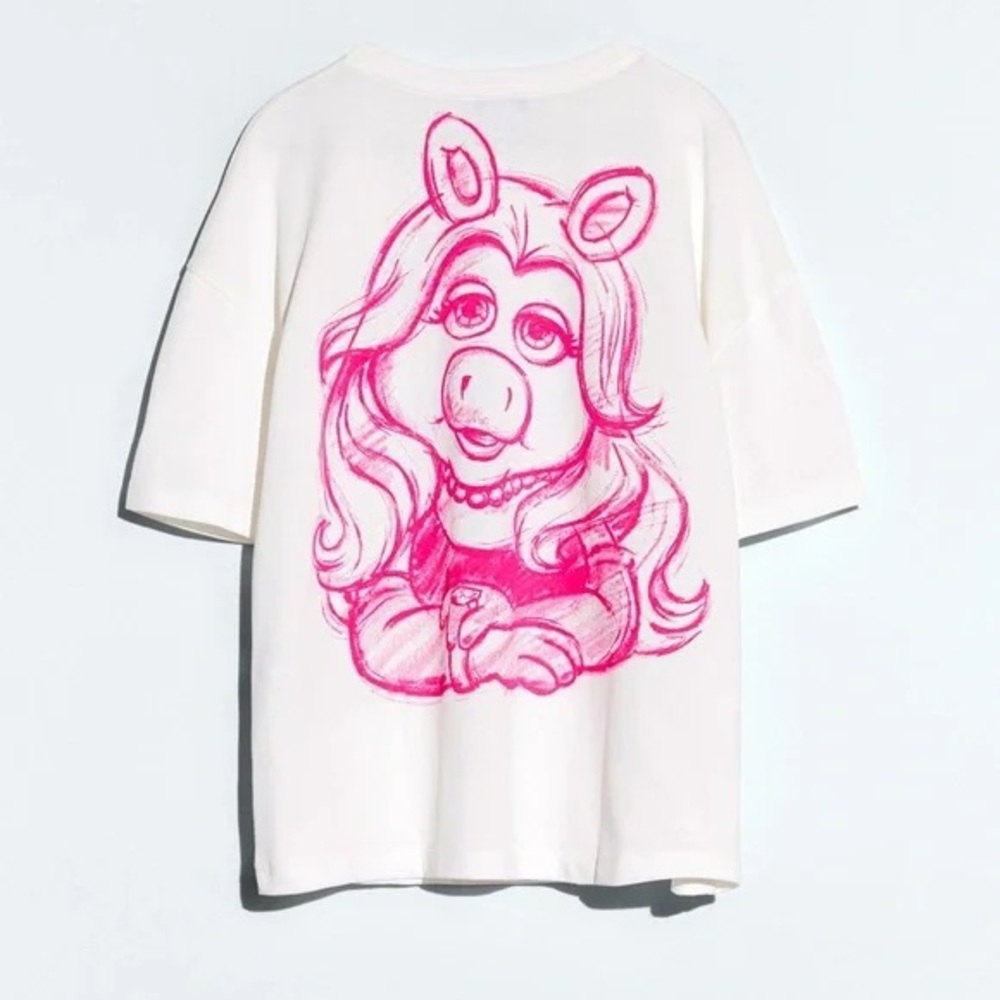 T-shirt from ZARA size Small
